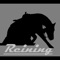 Reining-App 