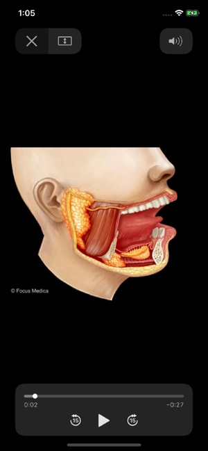 Junior Anatomy Atlas(圖4)-速報App