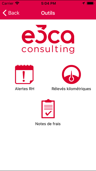 E3CA Consulting screenshot 2