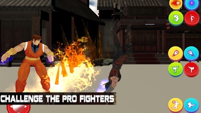 Ultimate Fighting Challenge screenshot 3