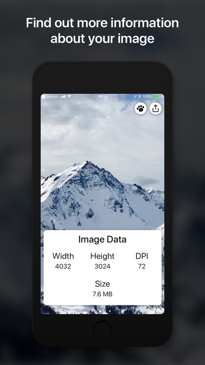 Metadata