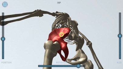 Virtual Skeleton screenshot 3