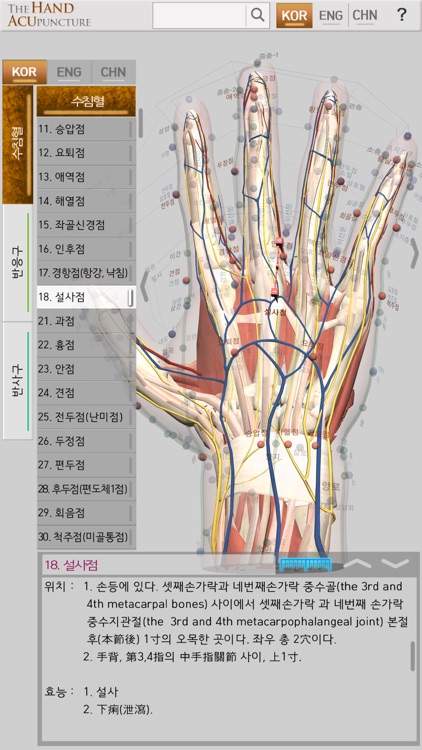 Hand Acupuncture