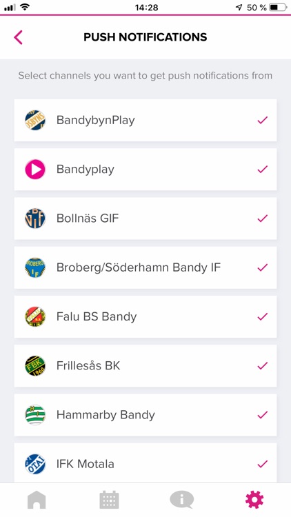 Bandyplay screenshot-3