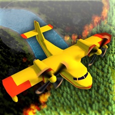 Activities of Fire Flying