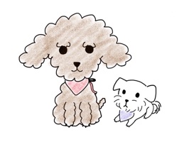Bori - s2eum's lovable pet