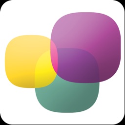 Money Plant Consultancy