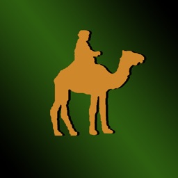 Camel Safari