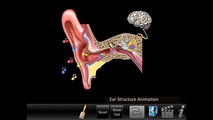 Ear ID