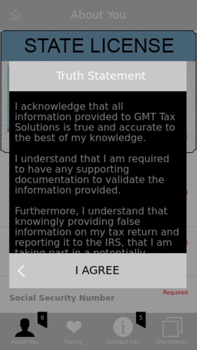 GMT Tax Solutions screenshot 2