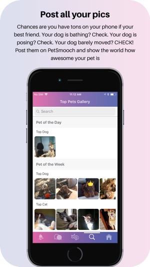 PetSmooch(圖4)-速報App