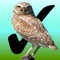 Birdwatcher's Diary™ is the perfect field companion for birders in any part of the world
