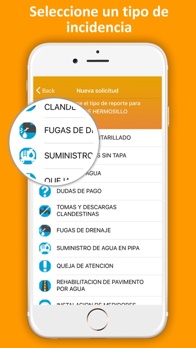 HMO Conectado screenshot 3
