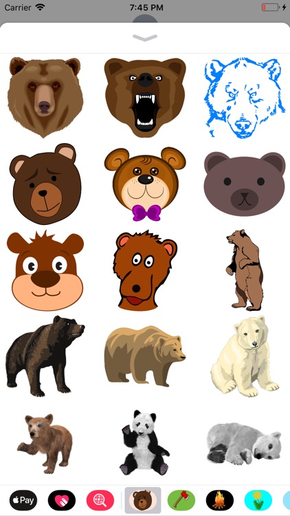 Bear Stickers