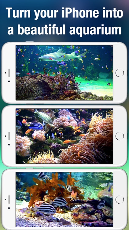 Aquarium Live HD