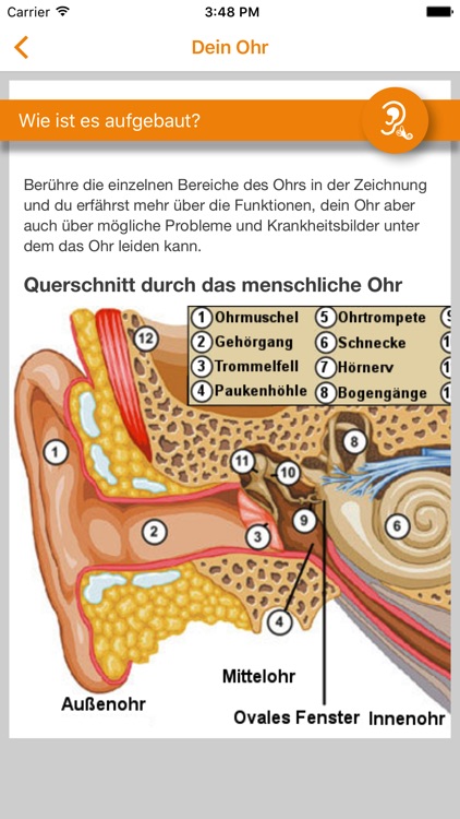 earaction