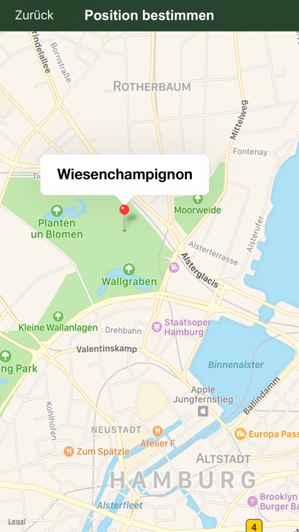 Pilzführer Deutschland, Pilze! screenshot-4