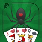 Spider Solitaire 2018