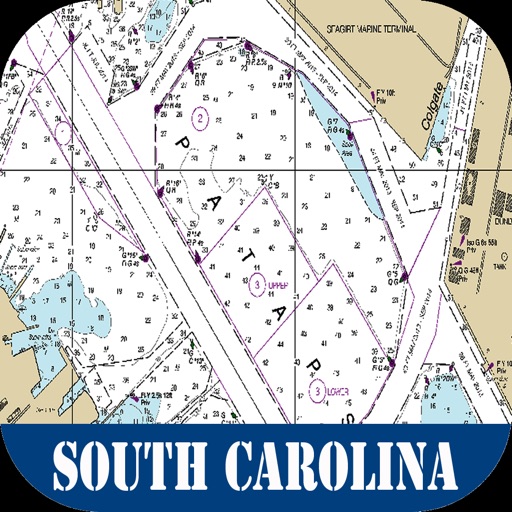 South Carolina Raster Maps