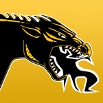 Cameron R-1 School District MO