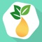 Our Essential Oils Guide is the best and most complete reference tool for Essential Oils users