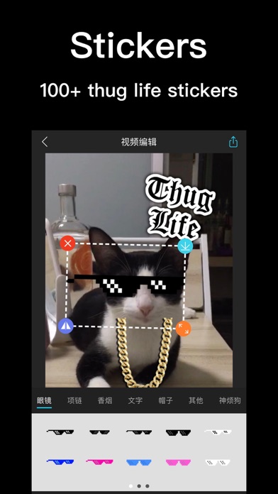 Thug Life - 暴徒生活视频软件 screenshot 2