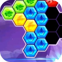 Black Hexa Puzzle Bomb