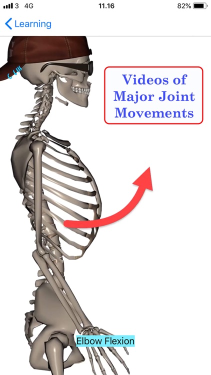 Stus Anatomy Flashcards screenshot-5