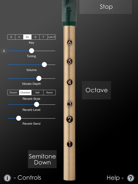 Tin Whistle Pro