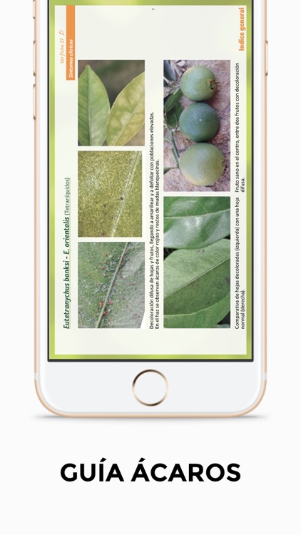 GUIA ACAROS