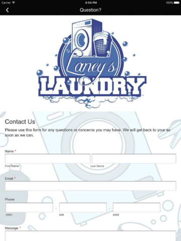 Laney's Laundry screenshot 2