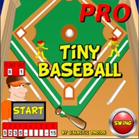 Tiny Baseball Pro pour PC