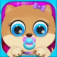 Celebrity Newborn Pets Baby  Mommy Dog Pregnancy