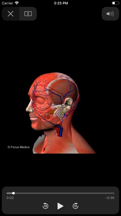 Head and Neck screenshot-4