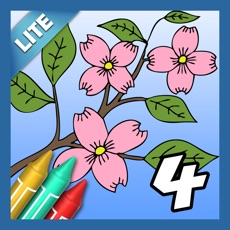 Activities of Coloring Book 4 Lite: Plants