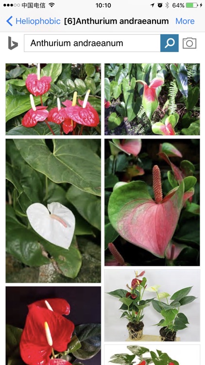 Foliage Plants screenshot-4