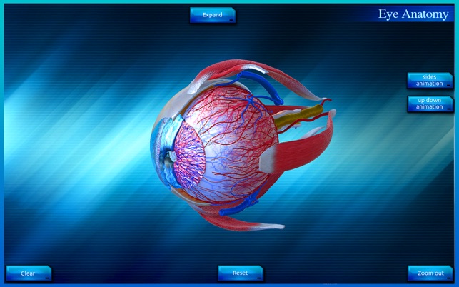 Eye Anatomy 3D(圖2)-速報App