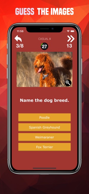 Dogs Trivia - Canis Breed Quiz(圖2)-速報App