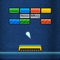 Play the most attractive Brick Breaker Game