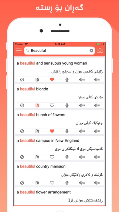 Rebin Dict Plus - Kurdish screenshot 2