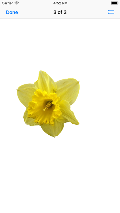 Daffodil Sticker Pack screenshot 4