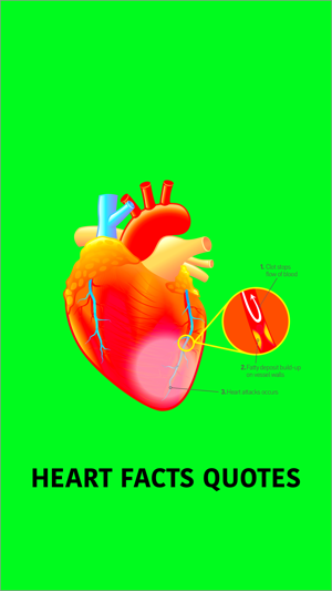 Human Heart Facts & Quiz 3000(圖1)-速報App