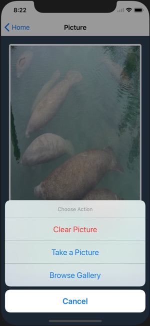 I Spy a Manatee(圖2)-速報App