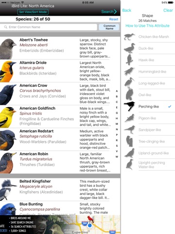 iBird Lite Guide to Birds screenshot 4