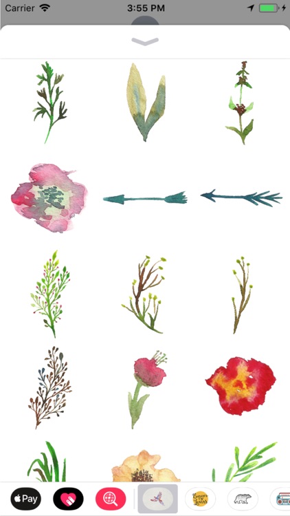 Watercolor Animals and Florals screenshot-4