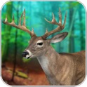 réal cerf chasse- la chasseur icon