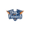 Flint Firebirds