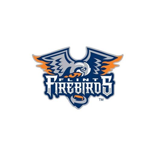 Flint Firebirds