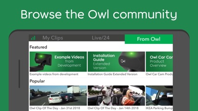 Owlcam Video Security Dash Cam screenshot 3