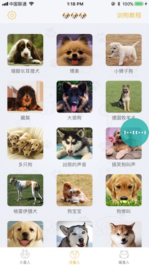 MyPet-Have  fun with my  pet(圖2)-速報App